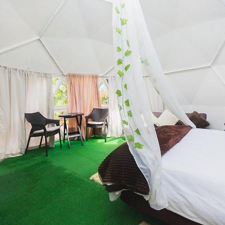 Guatape Country House Hotel Dış mekan fotoğraf